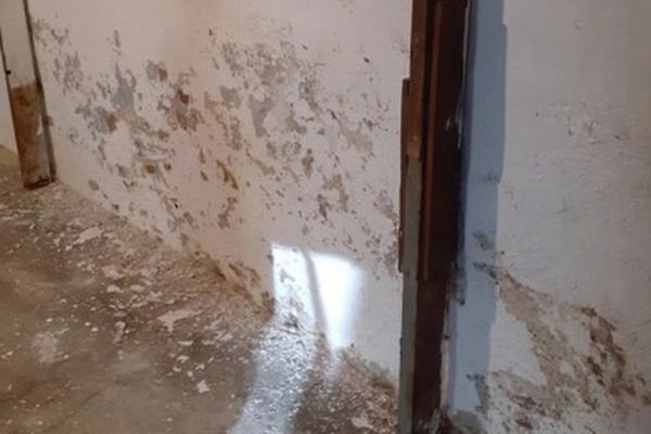 Mold Remediation Services