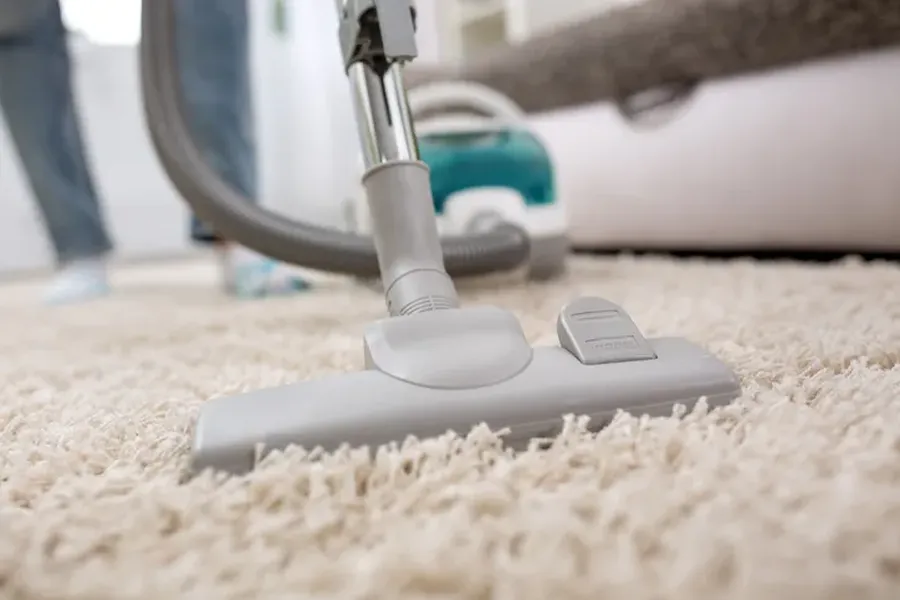 Experienced Carpet Cleaning Service Ewing NJ Experienced Carpet Cleaning Service Ewing NJ