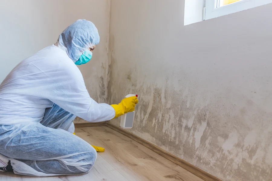Professional Mold Remediation Services Ewing NJ Professional Mold Remediation Services Ewing NJ