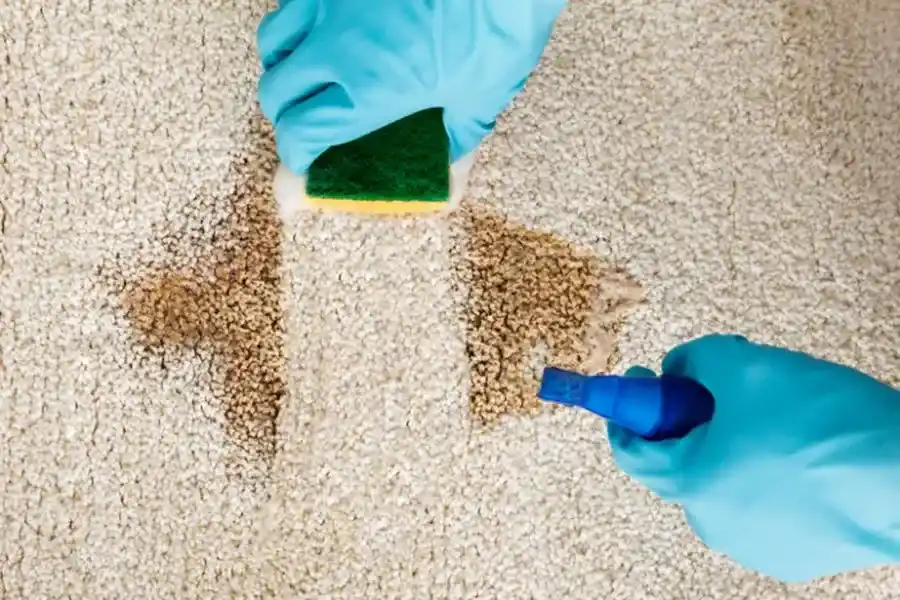The Role Of Air Duct Maintenance In Preventing Mold Growth Ewing NJ The Role Of Air Duct Maintenance In Preventing Mold Growth Ewing NJ
